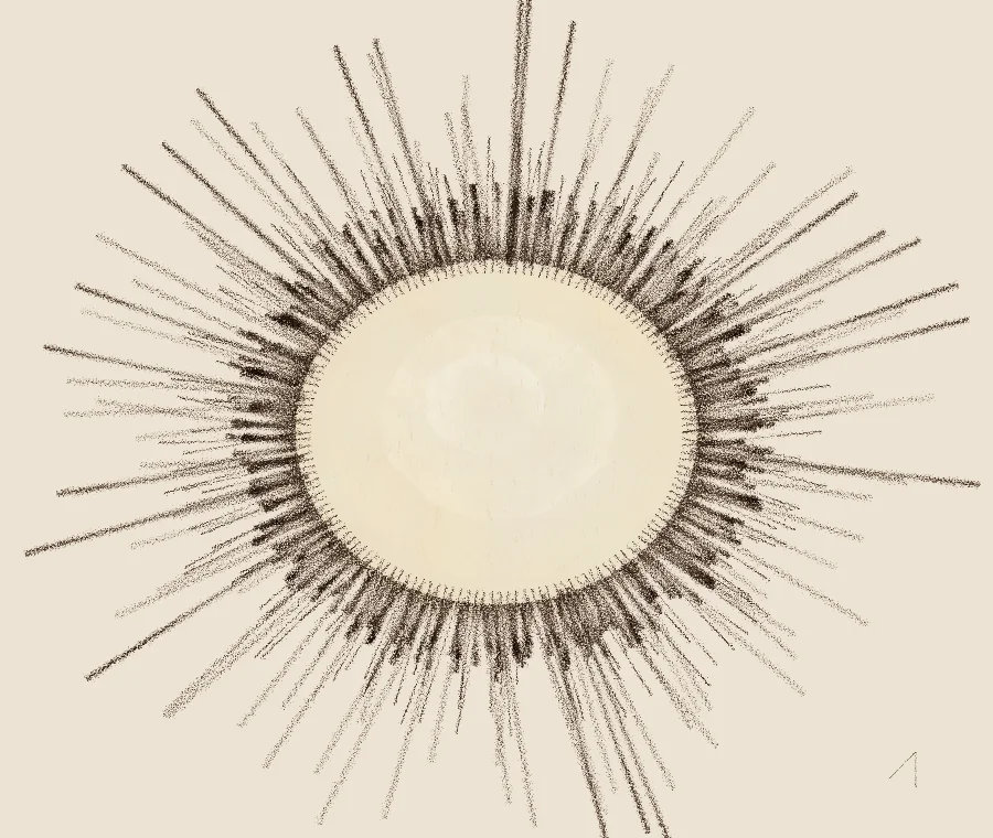 A round pale warm centre surrounded by a dense ring of dark spiky ink strokes, like a sun or a hedgehog seen from its soft belly side.