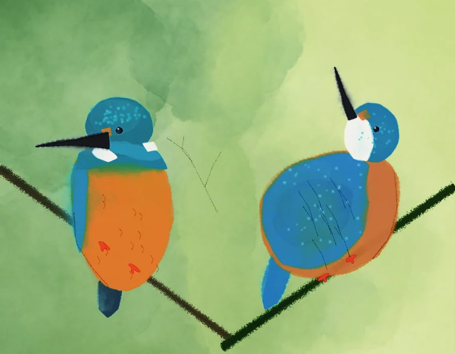 Two common kingfishers on two crossing twigs against a soft green wash; the left one faces the viewer, the right one turns away and lifts its beak to the sky.